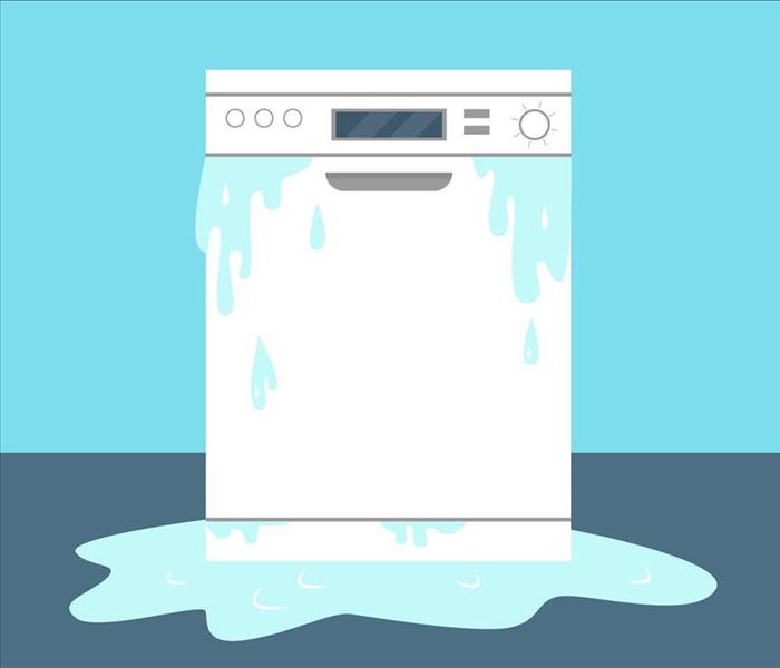 dishwasher leaking water