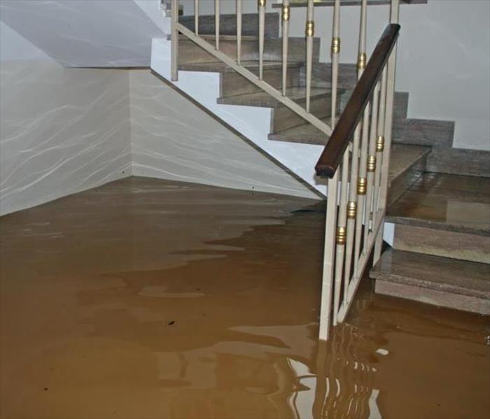 Dirty standing water up stairwell in the home. 