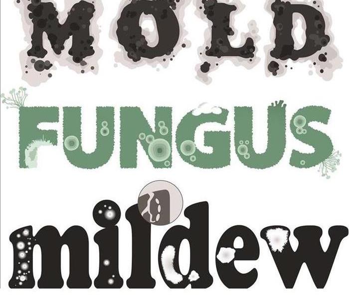 signs of mold, mildew